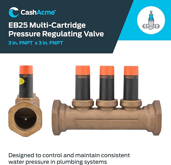 Cash Acme Válvula reguladora de presión de múltiples cartuchos EB25 de 3 pulgadas Modelo 23995-0055