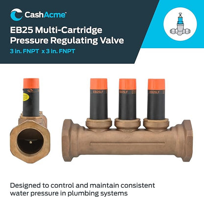 Cash Acme Válvula reguladora de presión de múltiples cartuchos EB25 de 3 pulgadas Modelo 23995-0055